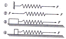 һ������ԭ�L10cm